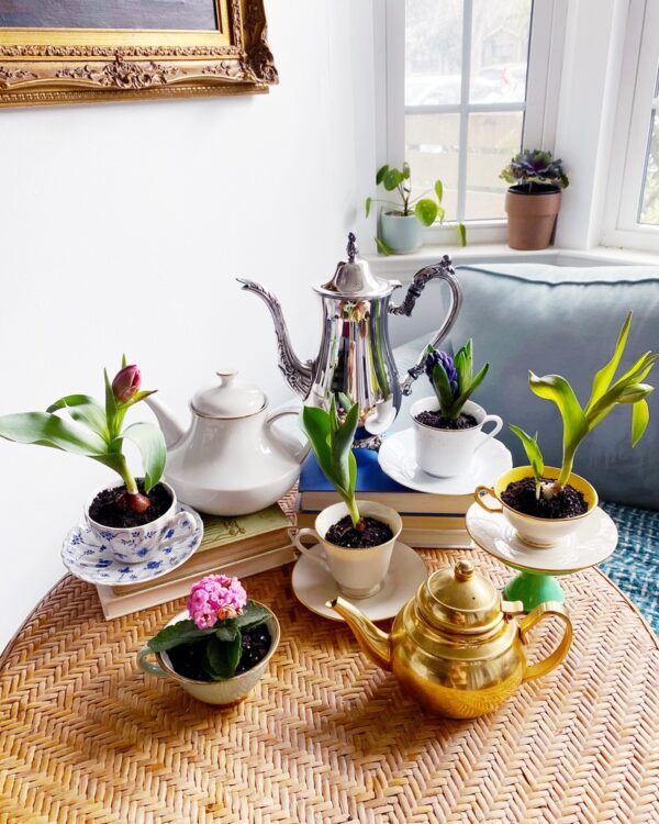 White Cream & Yellow Teacup with Tulip Bulb - Image 4